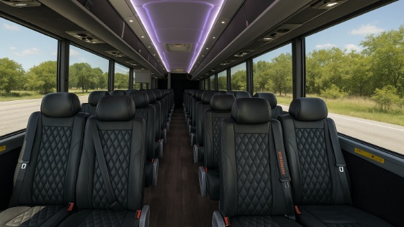 roseville 15 passenger minibus rental