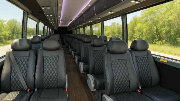 roseville 18 passenger minibus rental